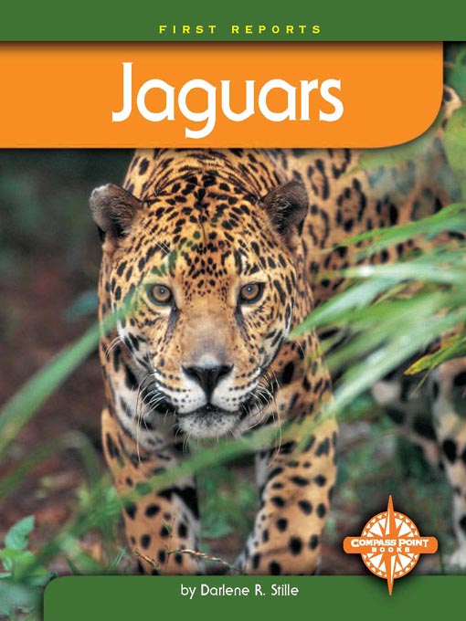 Title details for Jaguars by Darlene R. Stille - Available